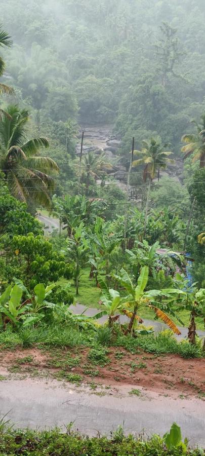 Fab - Bamboo Hut With Open Shower Munnar Ngoại thất bức ảnh
