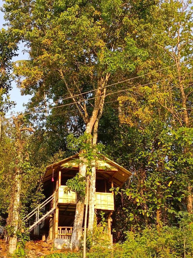 Fab - Bamboo Hut With Open Shower Munnar Ngoại thất bức ảnh